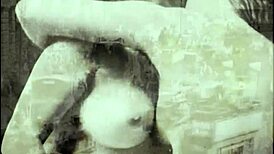 Secret erotic life unfolds in vintage hairy beaver films