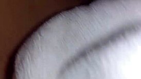 girl next door ebony neighbor tempts with oiled cameltoe shorts dirty talk fingering tease