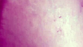 arabic couple slaps ass hard fucks wet pussy sensual creampie riding