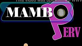 green-eyes slim ebony vitoria gets her ass destroyed by huge bbc in dap 2on1 with gapes cowgirl and dirty talk