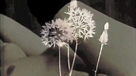 Unveiling My Secret Life in Retro Vintage Antique Mysteries