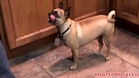 alternative emo punk goths flash pierced pussies backstage compilation