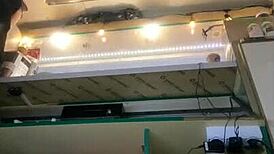 imagine this sexy bitch flashing her ass in a miniskirt despite the winter snow