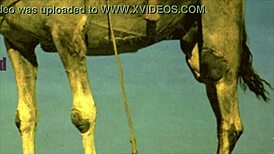 Dark Lantern Women Surrender to Primal Animal Desires in Retro Heat