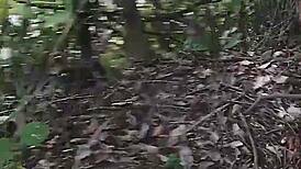 skinny brazilian pretinha takes bbc creampie outdoors after pix payment!!