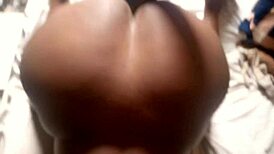 cucumber doggy leads to fat pussy devoured by bbc in steamy compilation