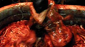 king dominates chocolate pool wrestling showdown