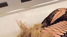 my best friend's wife sneaks to hotel for wild curvy latina ride after work