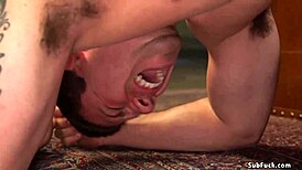 i love pegging this bound slave's ass doggystyle with my strapon till he submits in pain
