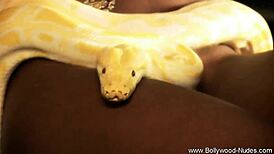 Sexy Bollywood Lover's Erotic Solo Tease
