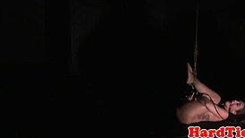 Hogtied Babe Drilled Anally By Massive Hard Dildo Nonstop!