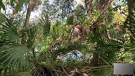 Florida swamp blonde fitness babe moans loud during public outdoor pounding