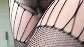 housewife, your fishnet fetish workout makes me hard
