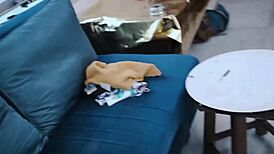 dirty indian maid takes my cock doggystyle n missionary... wet hairy pussy creampie!