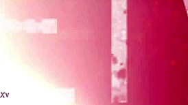 this czech brunette slurps huge cock pov and swallows outdoors