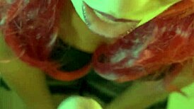 Milf receives facial and creampie in compilation