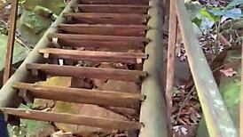 peruvian redhead takes cum from stranger in jungle
