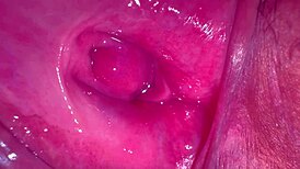 amateur pink pussy gets licked two hundred sixty nine days after virginity loss