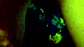 mywhoreswallows mov